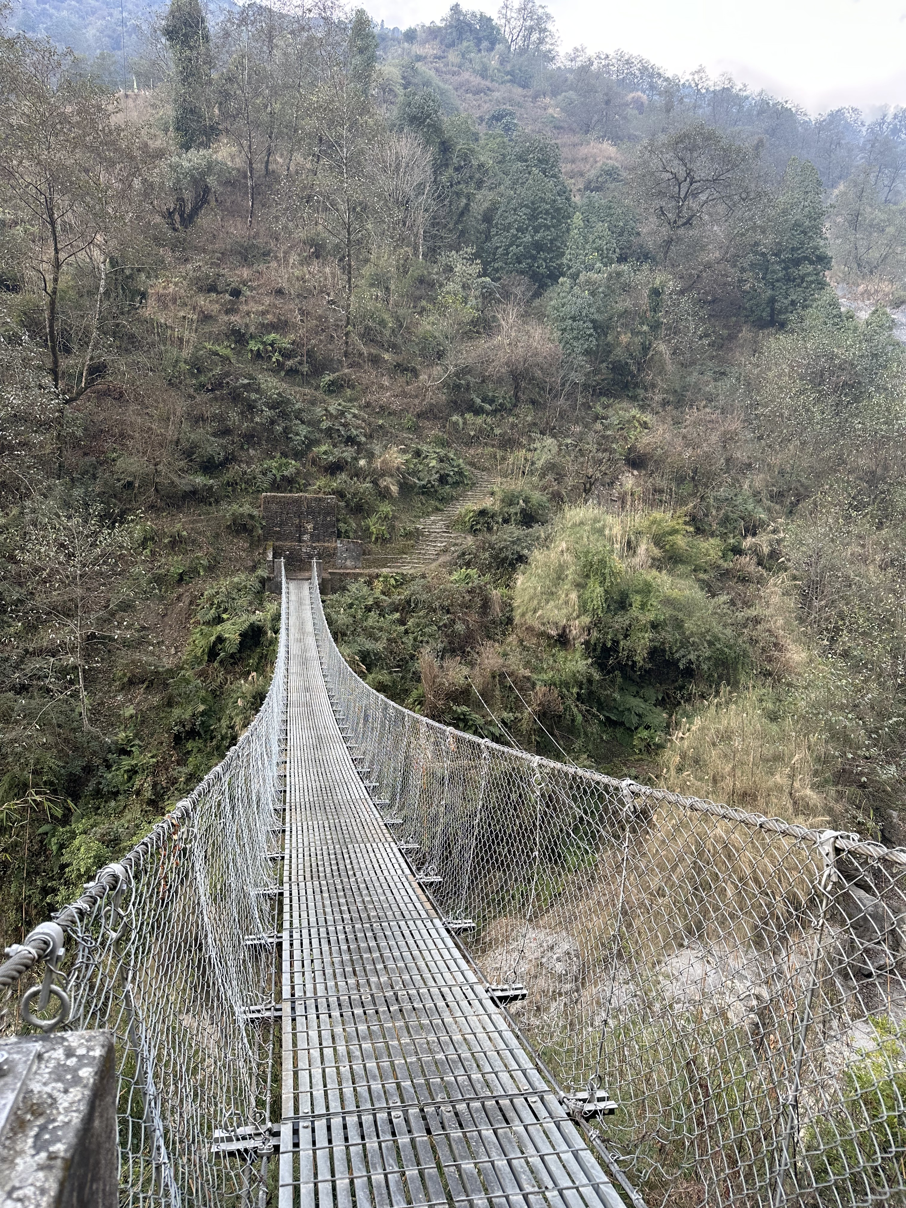 Hängebrücke im Dschungel