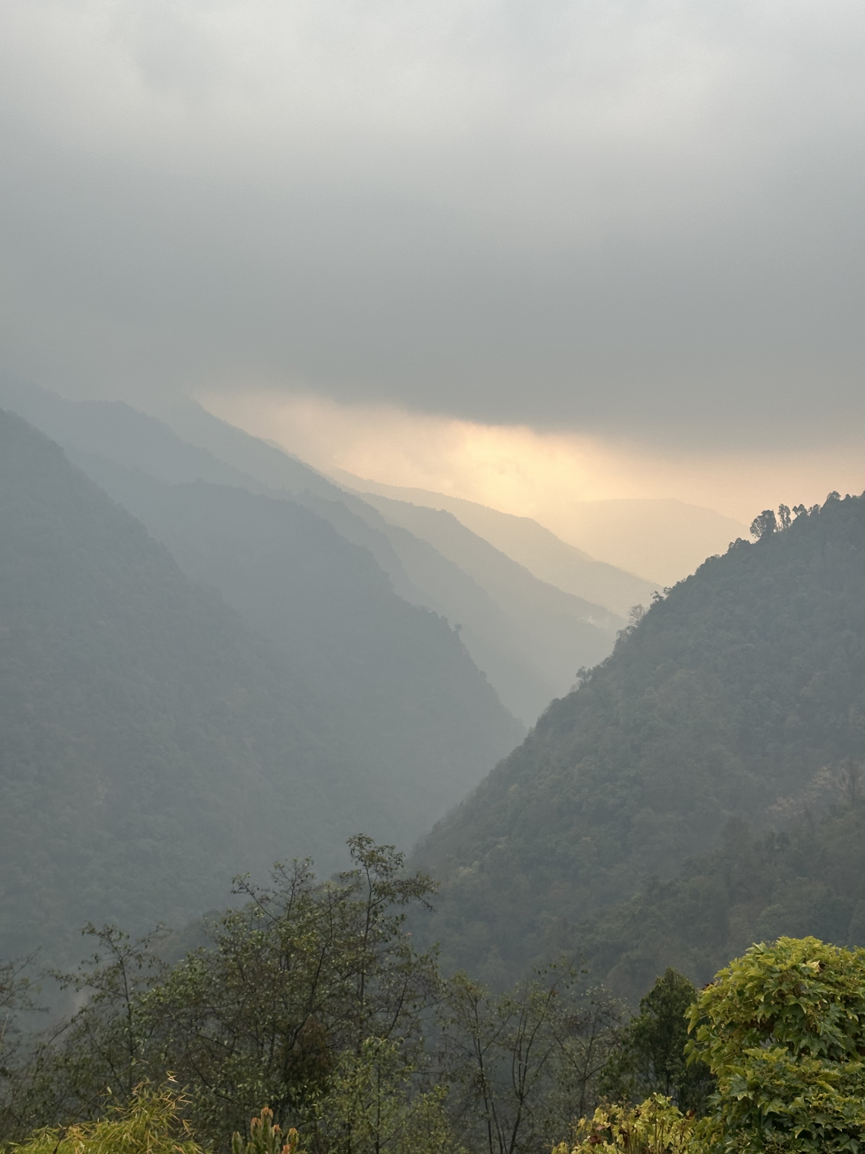 Ausblick aus dem Teehaus im Regen